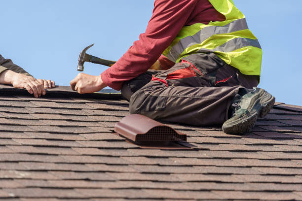 Best Roof Gutter Cleaning  in Newcastle, WY