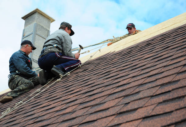 Best Local Roofing Companies  in Newcastle, WY